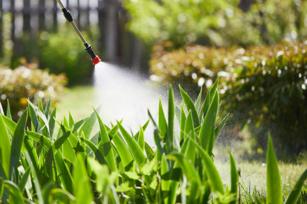 24/7 Emergency Termite Control experts in Pocahontas, AR