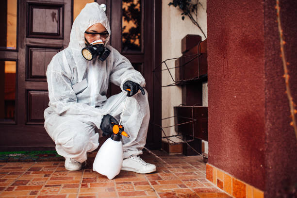Reliable Termite Control contractor in Pocahontas, AR by Nex Pest Control